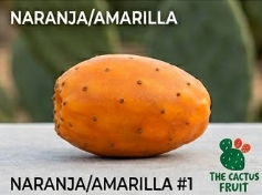 naranja1