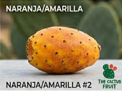 naranja2
