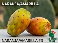 naranja3