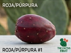 roja1