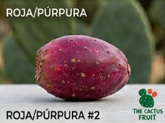 roja2