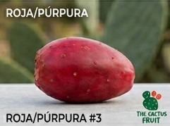 roja3
