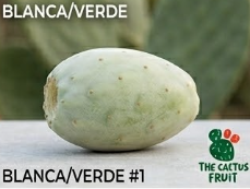verde1